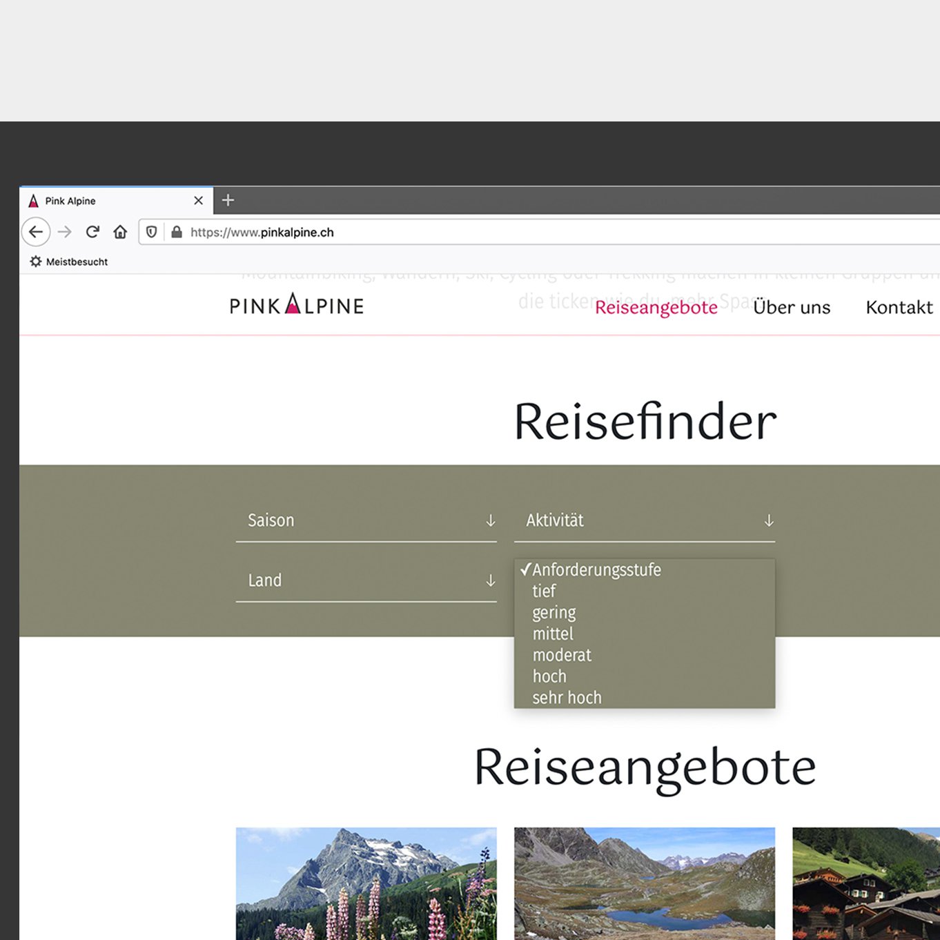 Pinkalpine_Screen_Bild4.jpg